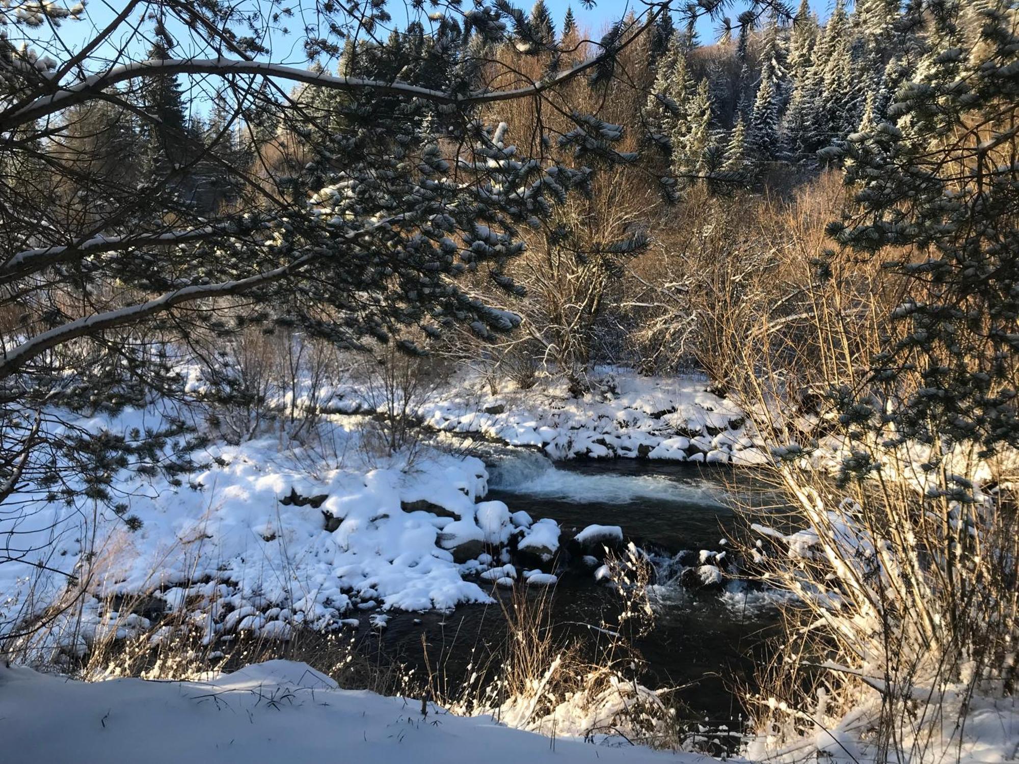 Riverside Habovka Leilighet Eksteriør bilde